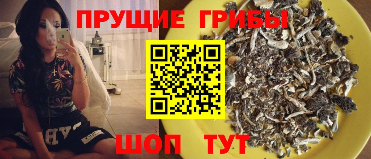 наркота  Вход с VPN  Реж  Галлюциногенные грибы Cubensis 